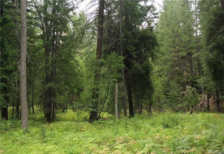 Lot 52 Cedarosa Park, Mazama, WA 98833