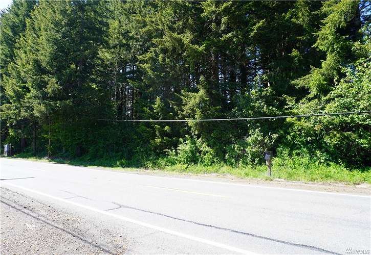 XXX W Simpson Ave, McCleary, WA 98563