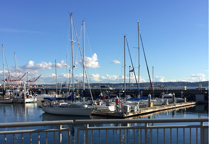 What does it take to start a Marina?