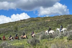 Should You Build An Indoor Riding Arena?