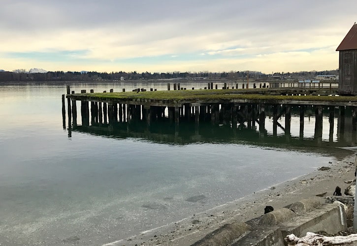 Moss covered dock over the bay next to Semiahmoo Hotel.