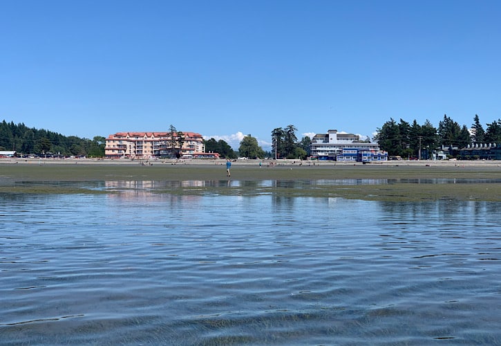 Wading in the Water at Birch Bay.