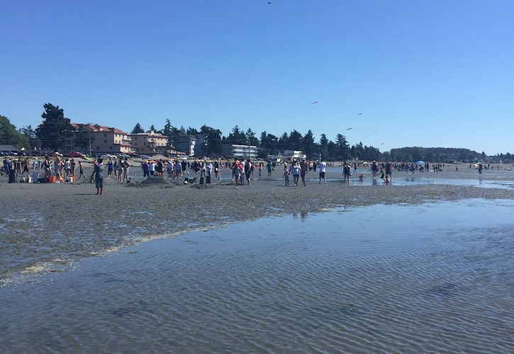 moving to birch bay