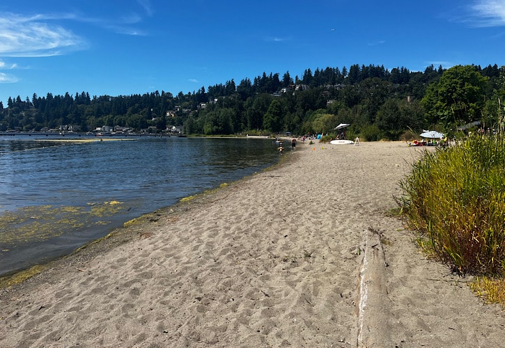 10 Best Neighborhoods In Kirkland