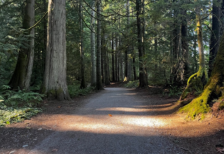 You Need To Visit These Bellingham Parks