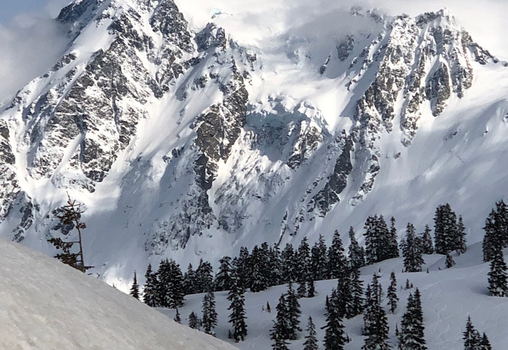 Visit Mount Baker - So Much To See And Do