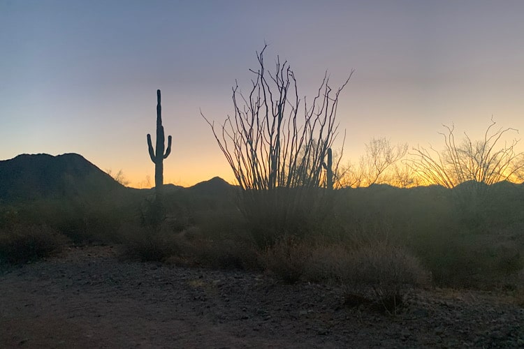 Tips For Moving To A Different State
